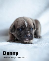 2022-02-26 02 Danny