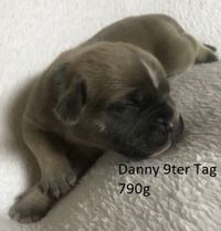 Danny 9ter Tag 790g