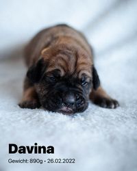 2022-02-26 10 Davina