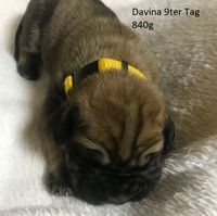 Davina 9ter Tag 840g