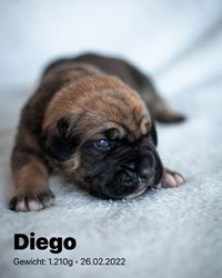 2022-02-26 09 Diego